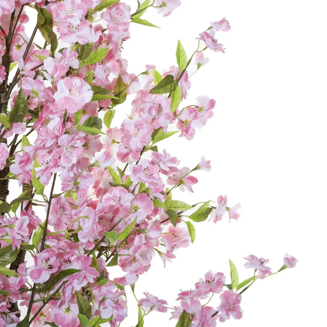 Cerisier Rose H. 200 Cm | 3 Suisses