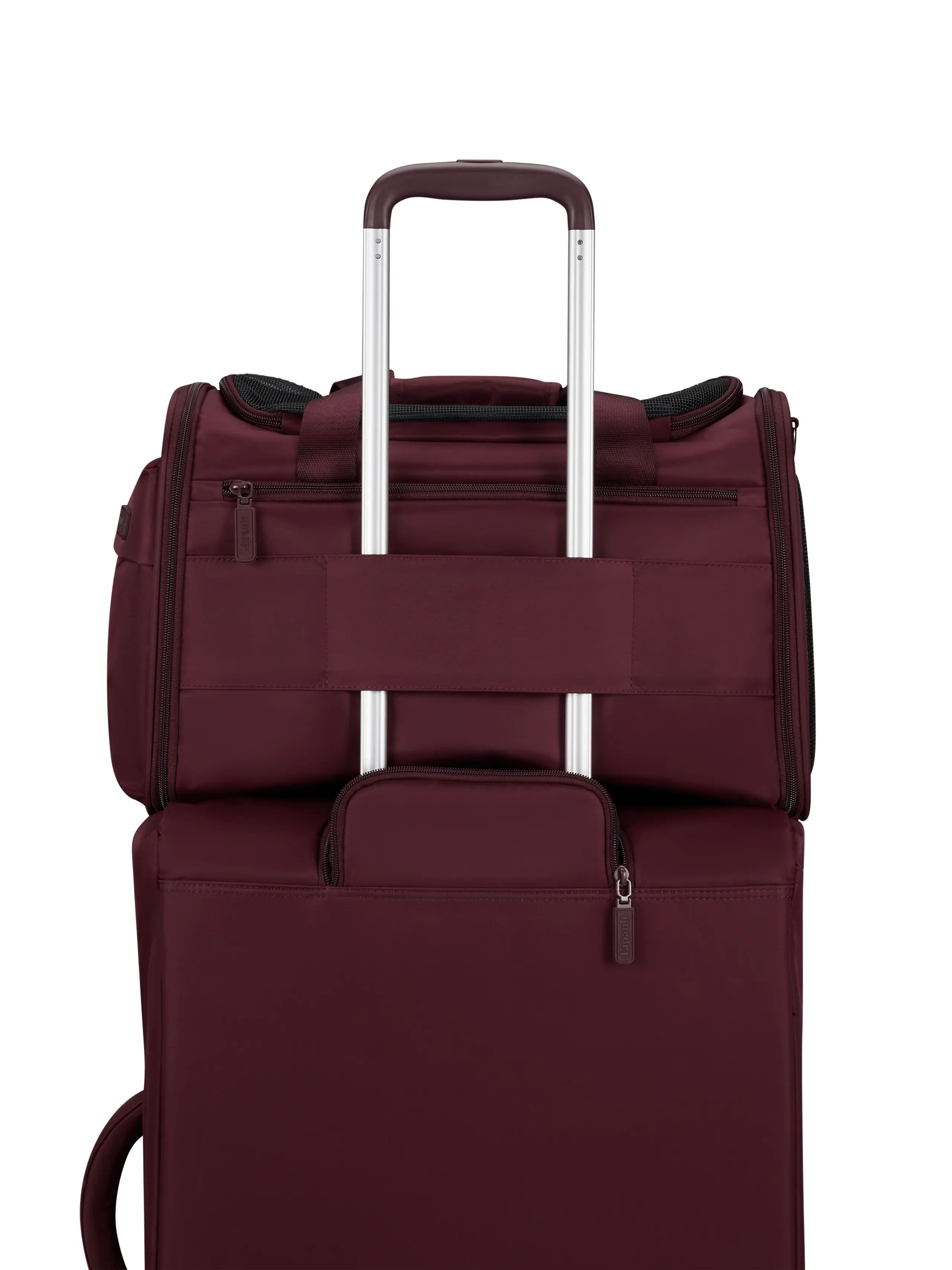 City Plume Sac pour chiens et chats